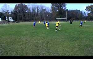 Festifoot U11